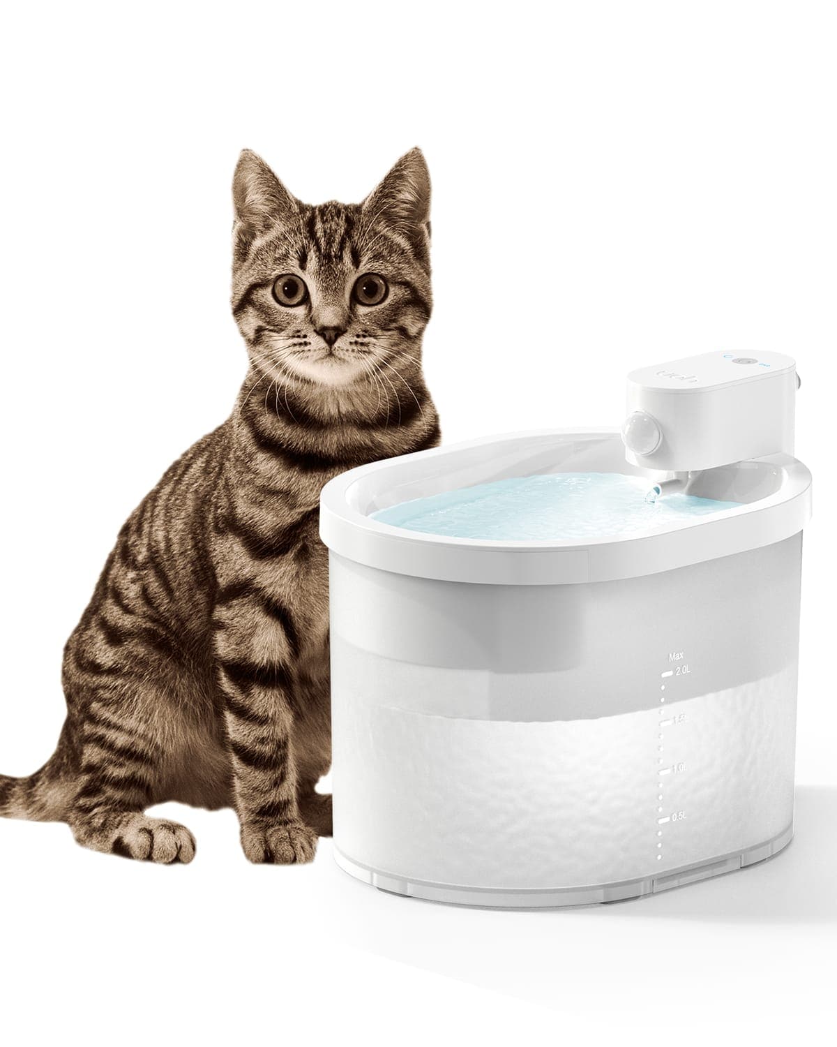 Cat Water Fountain - Automatic Water Dispenser
