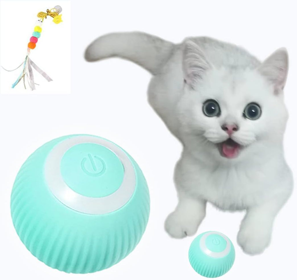 Interactive Cat Ball Toy - Smart Rolling Ball