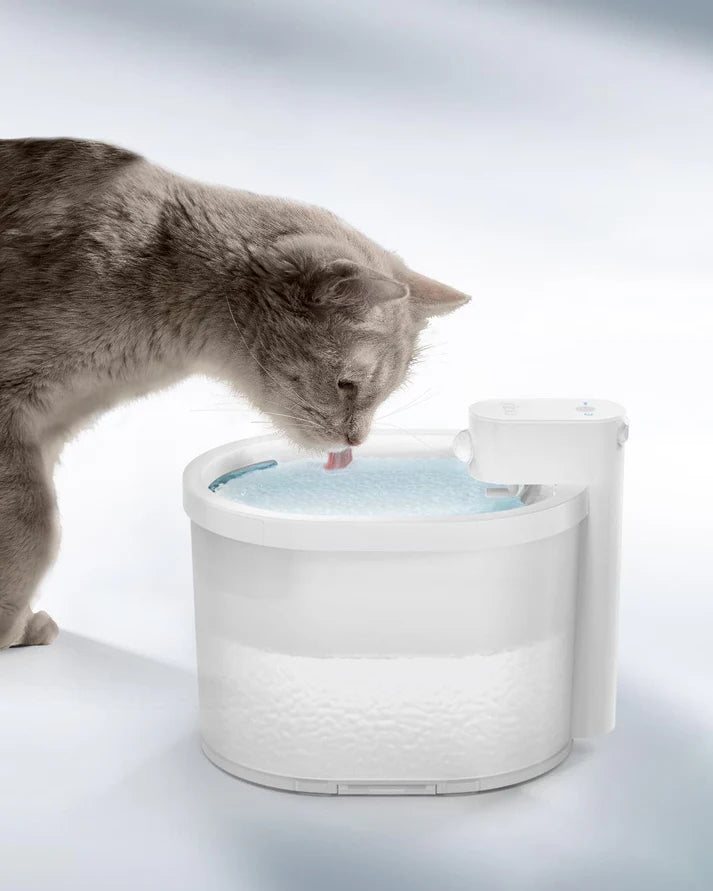 Cat Water Fountain - Automatic Water Dispenser